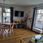 Wilde Moewe Juliusruh